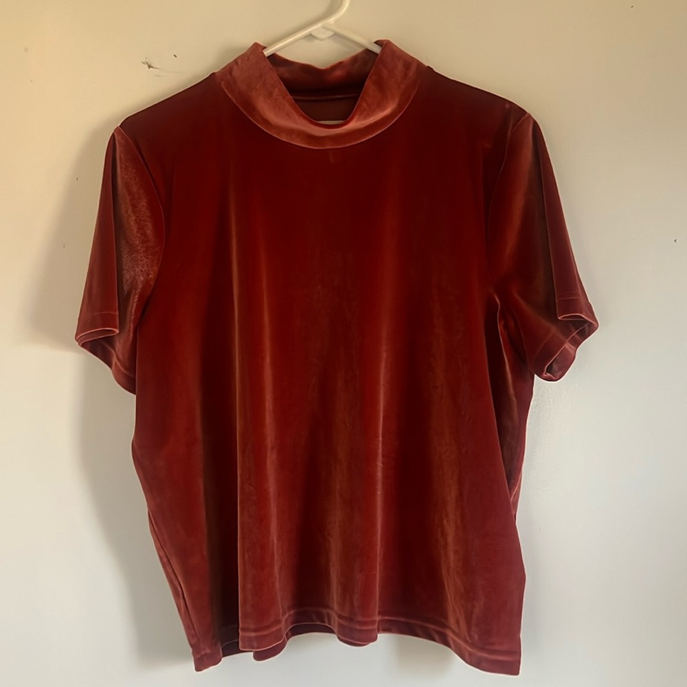 Madewell Velvet Short Sleeve Tee in Rich Red